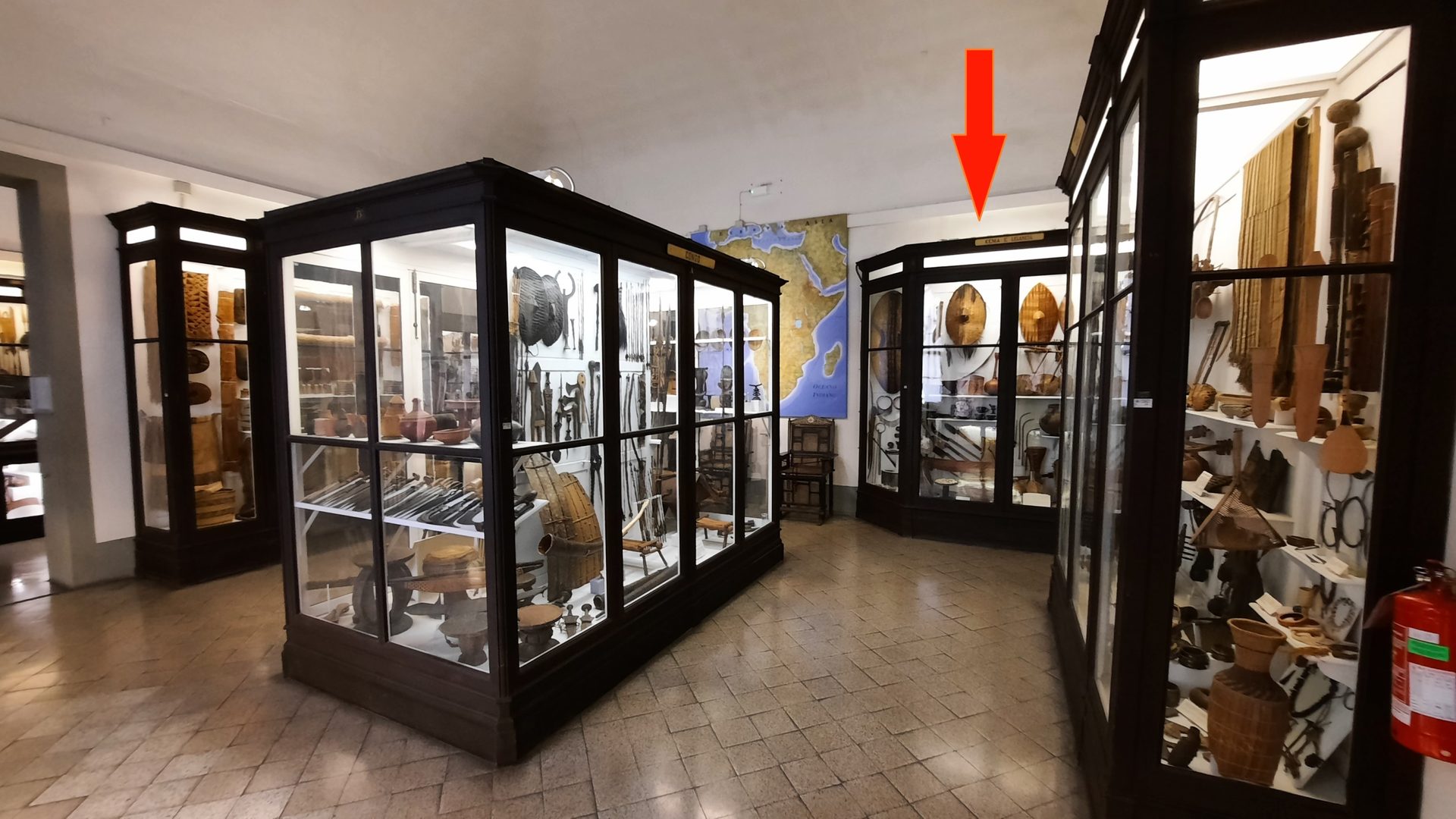 Aldo Castellani's ethnological collection, Florence - 01.jpg
